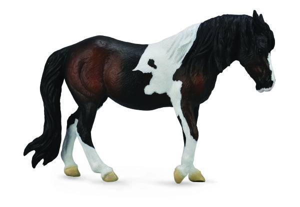 DARTMOOR STUTE BRAUN (L)