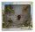 5 ST INSEKTEN SET WINDOW BOX