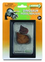 STEGOSAURUS FUSSNACHBILDUNG, Display-Kästchen