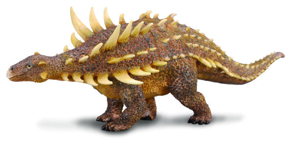 POLACANTHUS (L)