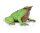 DARWIN - FROSCH (M)