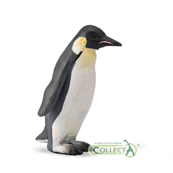 KAISERPINGUIN (M)