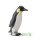 KAISERPINGUIN (M)