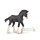 CLYDESDALE FOHLEN - SCHWARZ (M)