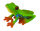 ROTAUGENLAUBFROSCH (M)