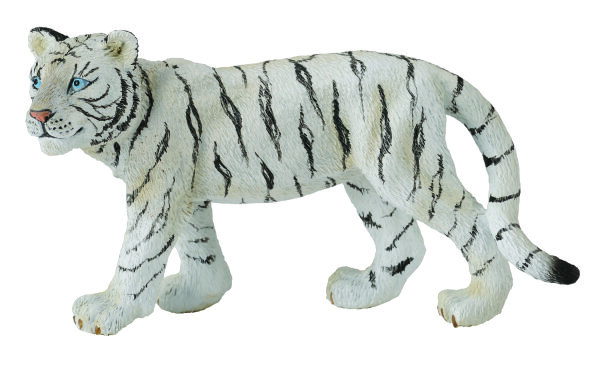 WEISSES TIGERJUNGES - GEHEND (M)