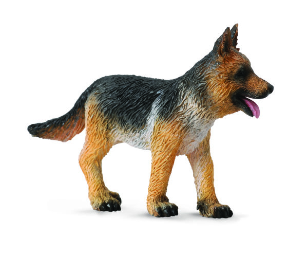 DEUTSCHER SCHÄFERHUND - WELPE (S)