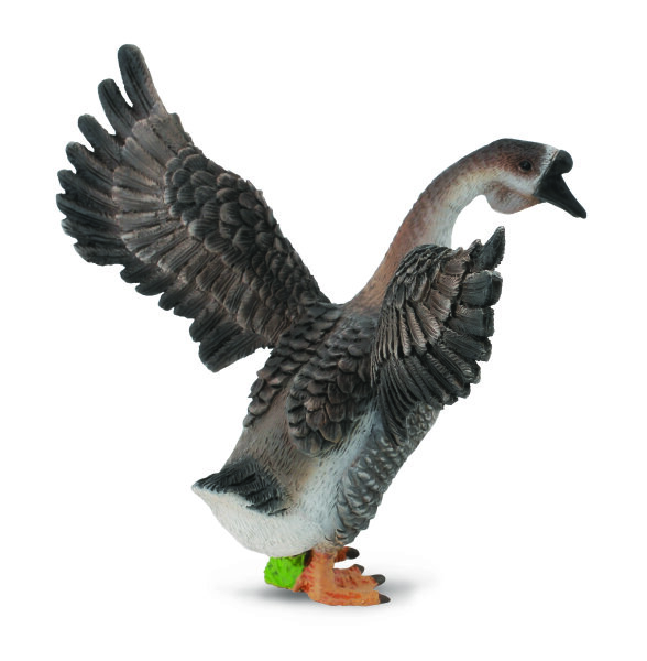GÄNSERICH (M)