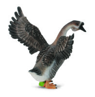 GÄNSERICH (M)