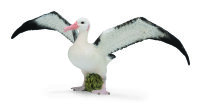 WANDERALBATROS (L)