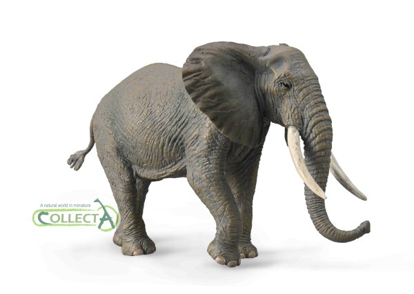 AFRIKANISCHER ELEFANT (XL)