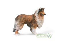 RAUER COLLIE (L)