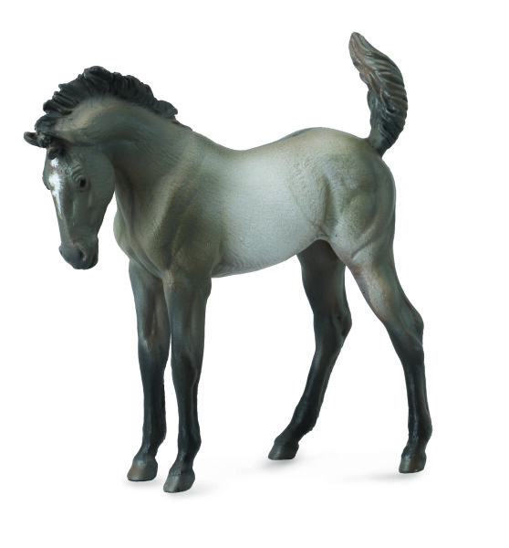 MUSTANG FOHLEN GRAUFALBE (M)