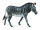 GREVYZEBRA (XL)