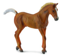 BRAUNES TENNESSEE WALKER FOHLEN (M)