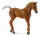 BRAUNES TENNESSEE WALKER FOHLEN (M)