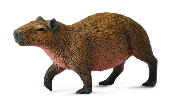 WASSERSCHWEIN (M)