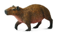 WASSERSCHWEIN (M)