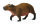 WASSERSCHWEIN (M)