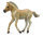 NORWEGISCHES FJORDFOHLEN FALBE (M)