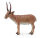 SAIGA-ANTILOPE (L)