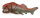DUNKLEOSTEUS MIT BEWEGLICHEM KIEFER 1:20 (DELUXE)