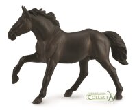 NONIUS HENGST - UNGARISCHES WARMBLUT  (XL)