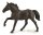 NONIUS HENGST - UNGARISCHES WARMBLUT  (XL)