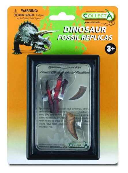 TYRANNOSAURUS VORDERFUSSKRALLE UND HANDNACHBILDUNG, Display-Kästchen
