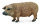 MANGALICA-SCHWEIN (M)