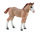 QUARTER HORSE FOHLEN (M)