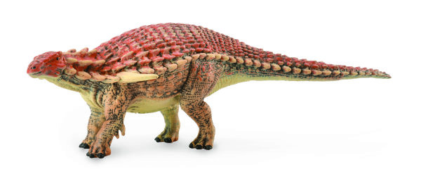 BOREALOPELTA (L)
