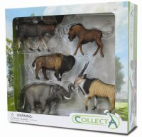 * 5 ST WILDLEBEN SET WINDOW BOX