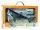 MEGALODON - 1:40 DELUXE WINDOW BOX