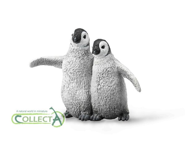 KAISERPINGUIN KUEKEN (M)
