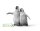 KAISERPINGUIN KUEKEN (M)