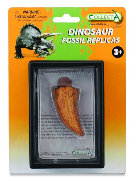 SEITENZAHN DES T-REX