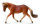 HAFLINGER STUTE (XL)