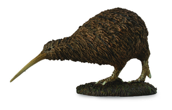 KIWI SCHNEPFENSTRAUSS (M)