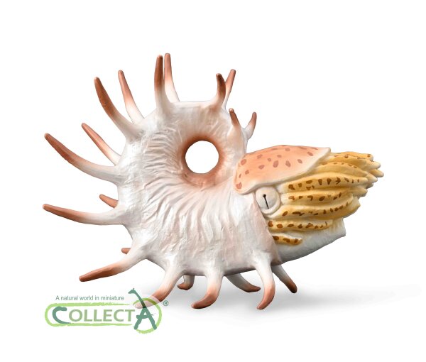 COOPEROCERAS (XL)