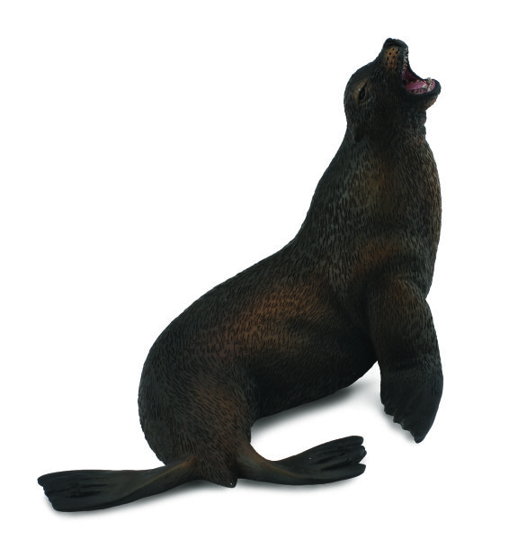 SEELÖWE (L)