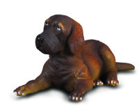 DEUTSCHE DOGGE - WELPE (S)