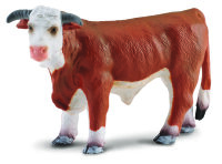 * HEREFORD BULLE (L)