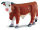 * HEREFORD BULLE (L)