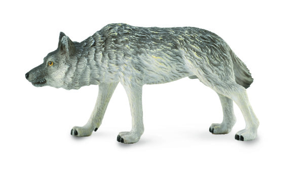 TIMBERWOLF, JAGEND (M)