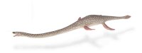 ELASMOSAURUS (L)