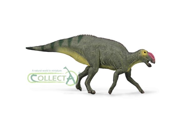 HADROSAURUS (M)