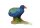 TAKAHE (M)