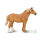 Belgische Stute Fuchs