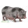 Hängebauchschwein (M)